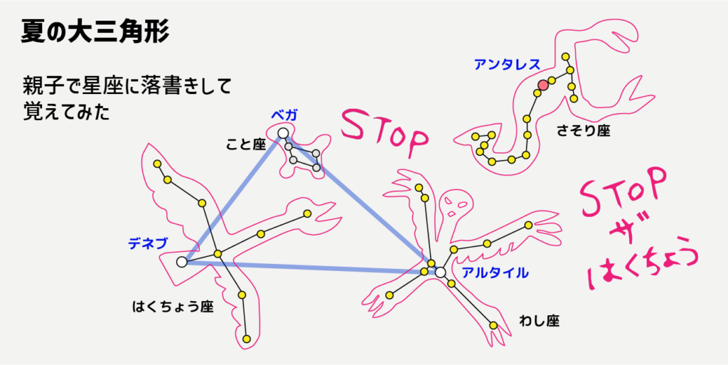 【スタッキー】シンプルな考え方で星座を理解する_手を動かして昔のヒトの思考を読み取る