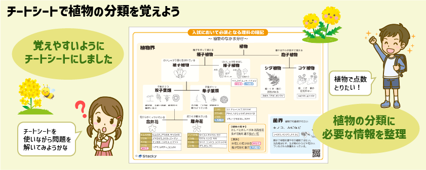 チートシート：小学生が苦手な植物の分類を攻略しよう