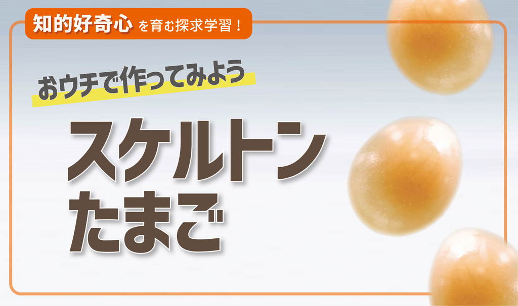 おうちでカンタン理科実験！ぷよぷよスケルトンたまごを作ろう