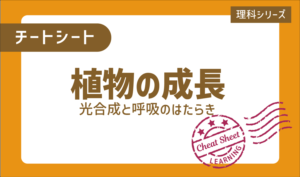 植物の成長を支える根 茎 葉と光合成 呼吸をマスターしよう Stacky スタッキー 子どもたちの学習効果upをねらうブログ